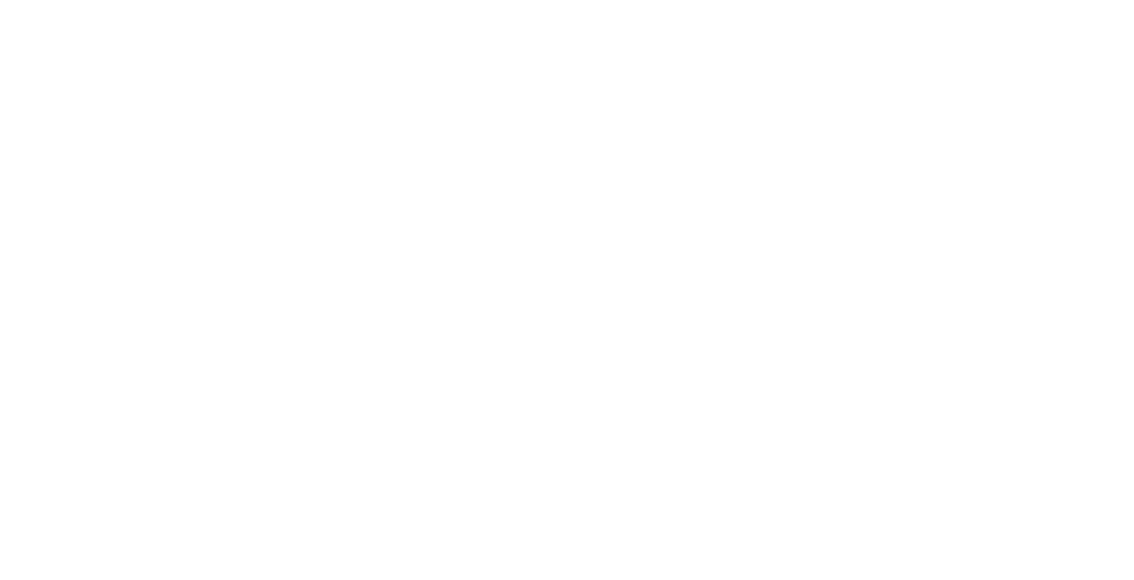 Ippon Transport